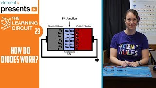 How Diodes Work  The Learning Circuit [upl. by Aufa461]