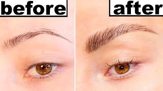 DIY EYEBROW LAMINATION [upl. by Lona]