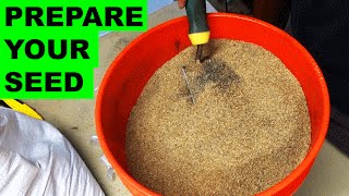 Preparing Grass Seed for Quick Germination [upl. by Ellevehc13]