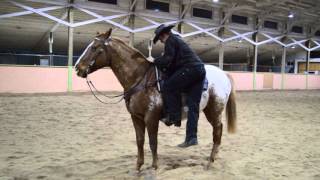 Mounting and Dismounting Your Horse Safely and Correctly [upl. by Tench]