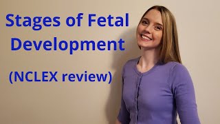 THE STAGES OF FETAL DEVELOPMENT  NCLEX REVIEW [upl. by Nhguavaj524]