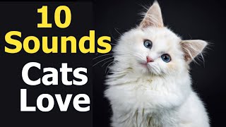 10 Sounds Cats Love To Hear The Most [upl. by Dever51]