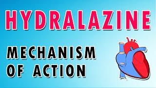 Hydralazine Mechanism and Side Effects [upl. by Hyacinthe]