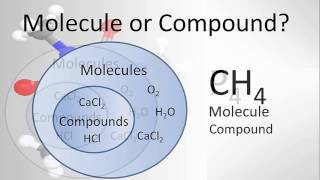 Molecule vs Compound Examples and Practice [upl. by Einotna]