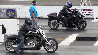 Hayabusa vs Harley Vrod  drag race [upl. by Frere679]