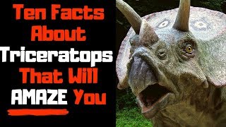 Triceratops Facts for Kids  Triceratops Facts Video [upl. by Adav]