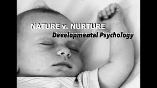 Genes amp Environment in Prenatal development  Developmental Psychology [upl. by Mure]