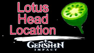 Lotus head location Genshin Impact [upl. by Sholes]