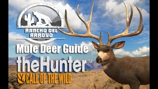 Mule Deer Guide  theHunter Call Of The Wild [upl. by Ataeb]