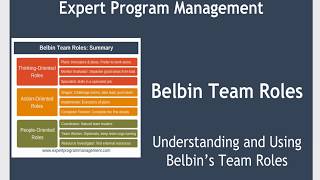 Belbins Team Roles [upl. by Nollahs727]