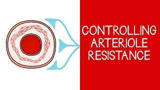 43 Cardiovascular Controlling Arteriole Resistance [upl. by Aramot]