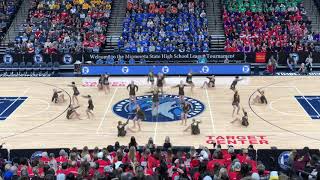 Lakeville North Dance Team State 2019 Kick [upl. by Dannica]