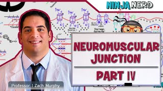 Musculoskeletal System  Neuromuscular Junction Pathologies Part 4 [upl. by Ydnac223]