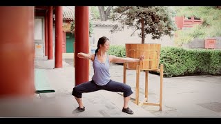 8 Brocades Qigong Practice [upl. by Idolla]