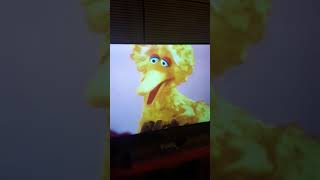 Big bird singing lullaby with elmo [upl. by Arihas]