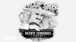 Vicente Fernández  Se Me Olvidó Otra Vez Cover Audio [upl. by Ayalat]