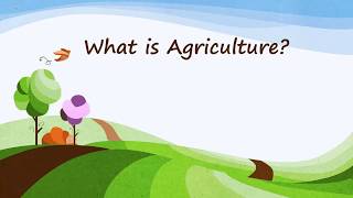 6002 What is Agriculture Lesson Video 1 [upl. by Dawes]