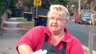 How To Grow Grass From Seed  DIY At Bunnings [upl. by Oletta]