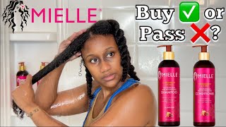 MIELLE ORGANICS POMEGRANATE AND HONEY 🍯 REVIEW  Type 4 Hair Wash Day [upl. by Nolava]