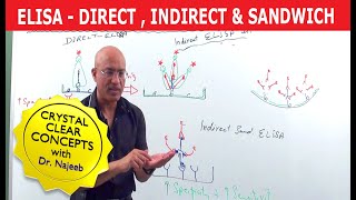 Elisa Test  Direct Indirect amp Sandwich 🩸 [upl. by Hanas200]