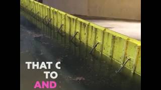 Automatic flood gates [upl. by Burkhardt]