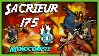 Sacrieur eau 175 sur Dofus Retro Monocompte [upl. by Wood]