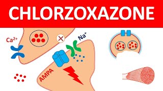 Chlorzoxazone as central muscle relaxant [upl. by Ailehpo]