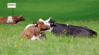 Thema Zukunft der Landwirtschaft [upl. by Aigneis]