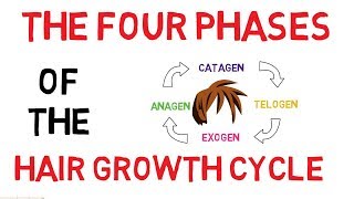 Understanding The Hair Growth Cycle  Adam Explains [upl. by Lissa]