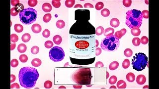 Blood Smear Preparation amp Staining [upl. by Ahsed]