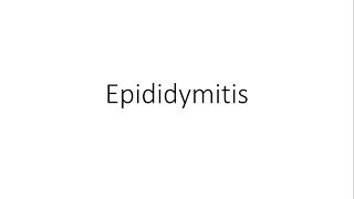 Epididymitis  General Surgery [upl. by Enawd]