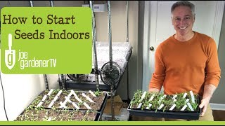 How I Start Seeds Indoors Tips amp Techniques [upl. by Norrabal]