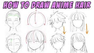 Beginner Guide part 3 How to Draw anime Hair Tutorial [upl. by Jonny548]