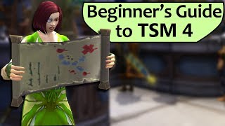 Intro to TradeSkillMaster 4 for Beginners  TSM 4 Setup Guide [upl. by Ayala929]