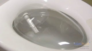 How Does a Bidet Work  bidetsPLUScom [upl. by Needan]