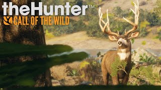 Monster MULE DEER Locations in Rancho Del Arroyo  theHunter Call of the Wild [upl. by Lance]