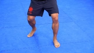 5 Footwork Basics  MMA Fighting [upl. by Cirala]