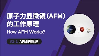 原子力显微镜的原理  How AFM Works [upl. by Noreen991]