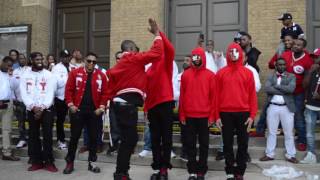 Kappa Alpha Psi Spring 17 Probate Gamma Upsilon chapter SIUC [upl. by Colette906]