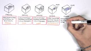 Dermatology  Lesion Terminology [upl. by Eimmas]