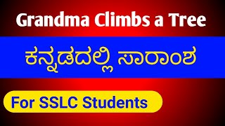 Grandma Climbs a Tree summary  Kannada summary of Grandma Climbs a Tree  SSLC English poem summary [upl. by Enelyk195]