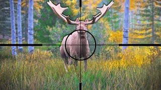 Hunting GIGANTIC Moose in Hunting Simulator 2 [upl. by Quentin]