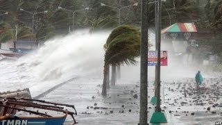 TYPHOON HAIYAN BATTERS THE PHILIPPINES  BBC NEWS [upl. by Trefler]