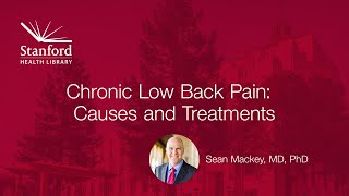 What Causes Lower Back Pain on One Side [upl. by Templas]