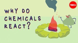 What triggers a chemical reaction  Kareem Jarrah [upl. by Topping975]