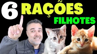 TOP 6 melhores rações GATOS FILHOTES [upl. by Newbill307]