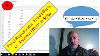 Stata Tutorial Basic Panel Regression [upl. by Aramenta]