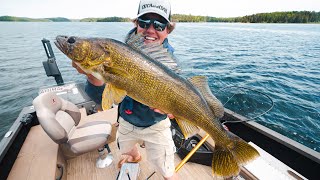 Catching BIG Fussy Walleye In Clear Water [upl. by Goines88]