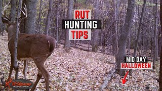 Early November Whitetail Hunting Strategy  Hunting The Rut [upl. by Benjamin584]