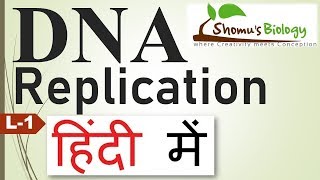 DNA replication in hindi [upl. by Dloraj]